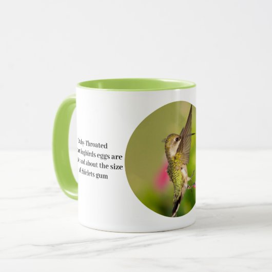Hummingbird Coffee Cup met leuke feiten Mok (Voorkant links)