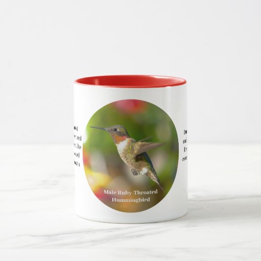 Hummingbird Coffee Cup Mok (Midden)