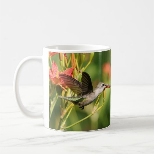 Hummingbird Coffee Mok II door BirdingCollectibles (Links)
