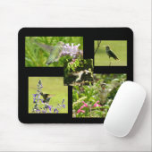 Hummingbird Collage Muismat (Met muis)