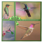 HUMMINGBIRD COLLAGE, QUOTE TEGELTJE (Voorkant)