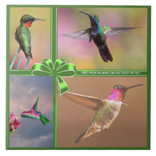 HUMMINGBIRD COLLAGE, QUOTE TEGELTJE