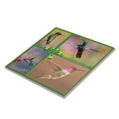 HUMMINGBIRD COLLAGE, QUOTE TEGELTJE (Zijkant)