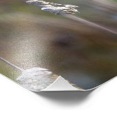 Hummingbird Collect Cattail Fluff Foto Afdruk (Hoek)