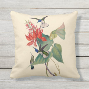 Hummingbird Coral Bean Outdoor Sierkussen 16X16