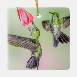 Hummingbird Couple Flying Together Name Keramisch Ornament