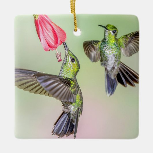 Hummingbird Couple Flying Together Name Keramisch Ornament (Voorkant)