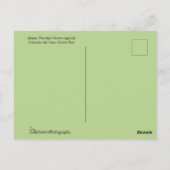 Hummingbird Couple op een lef Briefkaart (Achterkant)