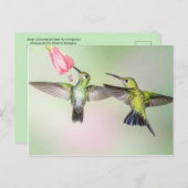 Hummingbird Couple vliegen zij aan zij Briefkaart (Voorkant / Achterkant)