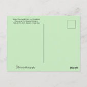 Hummingbird Couple vliegen zij aan zij Briefkaart (Achterkant)