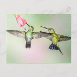 Hummingbird Couple vliegen zij aan zij Briefkaart