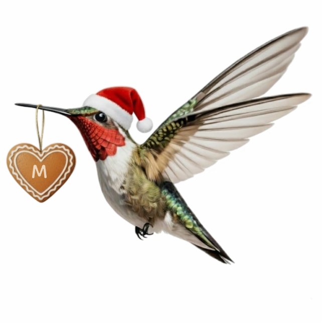 Hummingbird Custom Monogram Christmas Ornament Fotobeeldje Ornament (Voorkant)