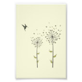 Hummingbird & Dandelion Foto Afdruk (Voorkant)