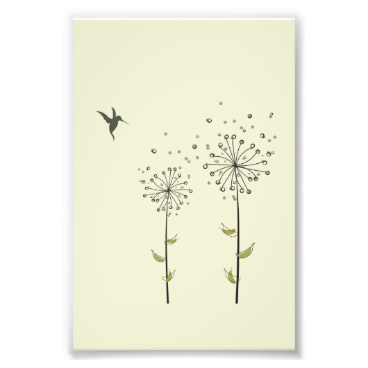Hummingbird & Dandelion Foto Afdruk (Voorkant)