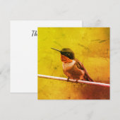 Hummingbird Dank je (Voorkant / Achterkant)