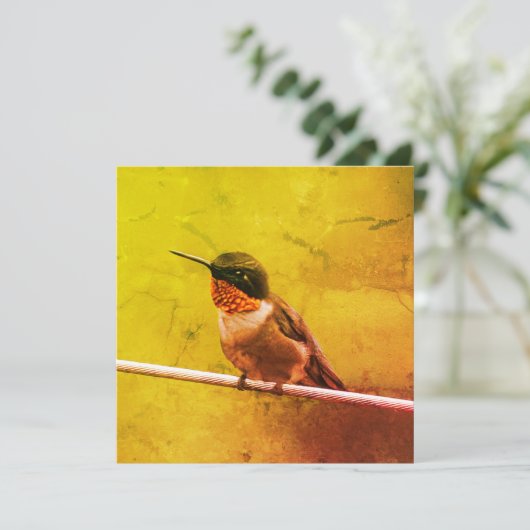 Hummingbird Dank je (Staand voorkant)