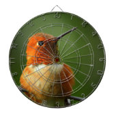 Hummingbird Dartboard Dartbord (Voorkant)