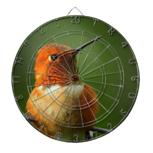 Hummingbird Dartboard Dartbord