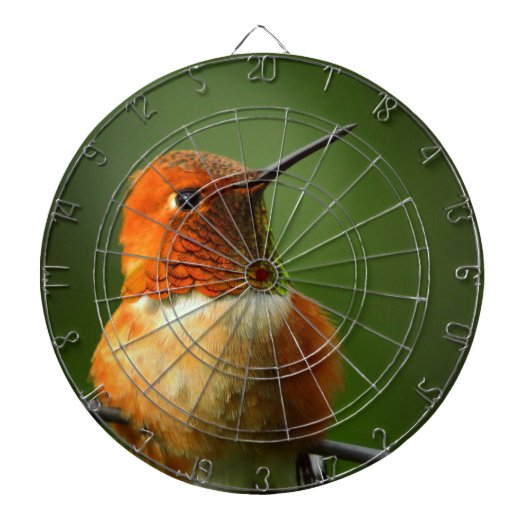Hummingbird Dartboard Dartbord (Voorkant)