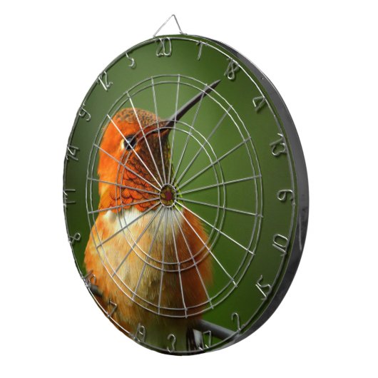 Hummingbird Dartboard Dartbord (Voorkant Rechts)