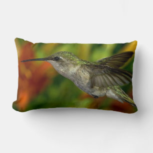 Hummingbird Decorative Sierkussen Kussen