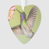 Hummingbird die vliegt naar een naam van een bloem ornament (voorkant)