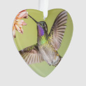 Hummingbird die vliegt naar een naam van een bloem ornament (voorkant)