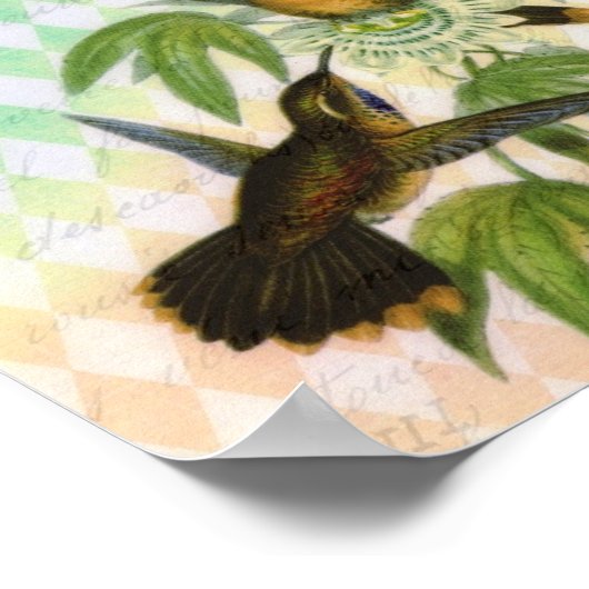 Hummingbird Digital Art Poster (Hoek)
