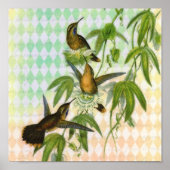 Hummingbird Digital Art Poster (Voorkant)