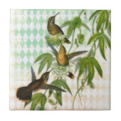 Hummingbird Digital Art Tegeltje (Voorkant)