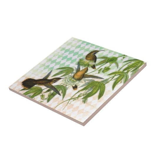 Hummingbird Digital Art Tegeltje (Zijkant)