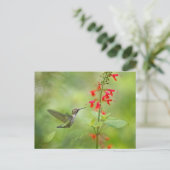 Hummingbird Dream Garden Briefkaart (Staand voorkant)
