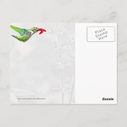 Hummingbird Dream Garden Briefkaart (Achterkant)