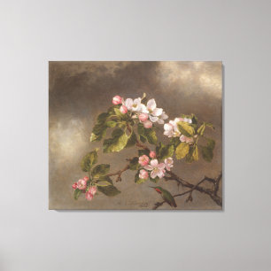 Hummingbird en appelbloesems canvas afdruk