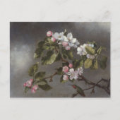 Hummingbird en Apple Blossom Martin J. Heade Briefkaart (Voorkant)