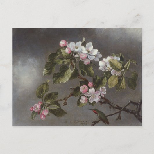 Hummingbird en Apple Blossom Martin J. Heade Briefkaart (Voorkant)