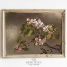 Hummingbird en Apple Blossom schilderen Poster