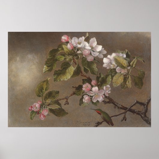 Hummingbird en Apple Blossom  schilderen Poster (Voorkant)