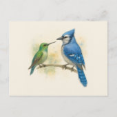 Hummingbird en Blue Jay Natuur Briefkaart (Voorkant)