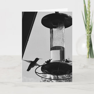 Hummingbird feeder kaart