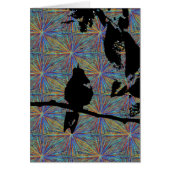 Hummingbird Fireworks (Voorkant)