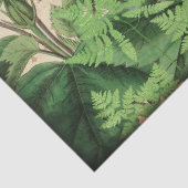 Hummingbird Floral  ontkoppeling Tissuepapier (Detail)