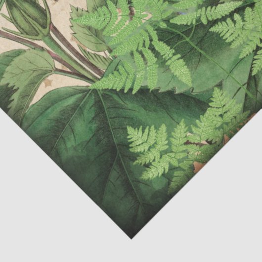 Hummingbird Floral  ontkoppeling Tissuepapier (Detail)