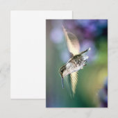Hummingbird Flying Bedankkaart (Voorkant / Achterkant)