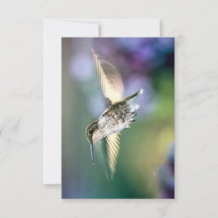 Hummingbird Flying Bedankkaart