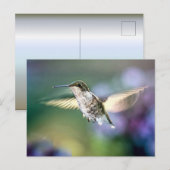 Hummingbird Flying Briefkaart (Voorkant / Achterkant)
