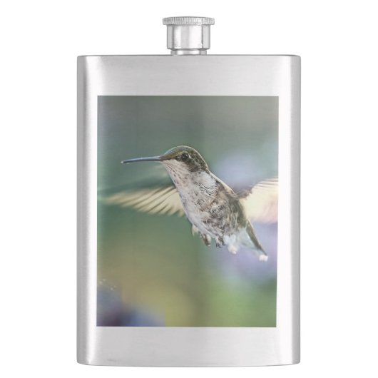 Hummingbird Flying Flacon (Voorkant)