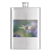 Hummingbird Flying Flacon (Voorkant)