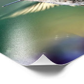 Hummingbird Flying Foto Afdruk (Hoek)