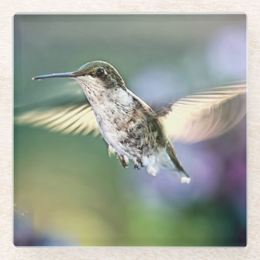 Hummingbird Flying Glazen Onderzetter (Voorkant)